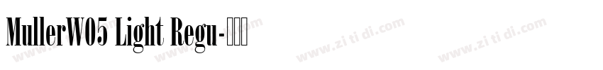 MullerW05 Light Regu字体转换